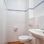 Bad mit Dusche und WC im EG