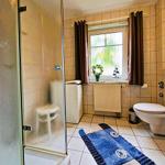 Bathroom with shower, toilet, and window with curtains.