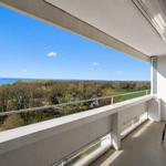 Terrace with view of lake and forests. Table, chairs, and plant are present.