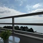 Balcony with sea view, small table and plant. Trees and horizon visible.