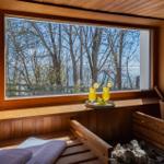 Sauna mit Holzbank, Steinofen und Blick auf Wald und Wasser.