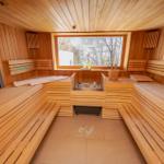Sauna mit Holzbanken, Steinofen und Fensterblick auf Bäume