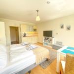 Schlafzimmer mit Bett, Küchenzeile, TV und Esstisch mit Stühlen.