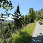 Waldweg mit Fahrradfahrern und Blick auf Tal und Berge