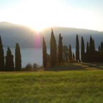 Scenery