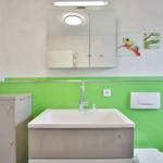 Bathroom with green wall panel, sink, and mirror cabinet.