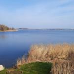 A calm lake with reeds and a bench on the shore. Trees and houses are visible in the background.