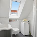 Bathroom with skylight, washing machine, and shower.