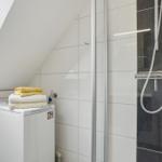 Bathroom with shower, washing machine, and skylight.