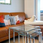 Ein braunes Sofa mit Kissen und einem Stofftier. Davor steht ein Glas-Tisch.