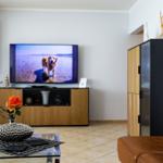 Wohnzimmer mit Fernseher, Couch und Glas-Tisch mit Blume.