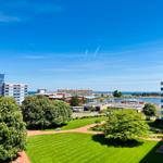 Green park with paths and trees. Buildings and water in the background.