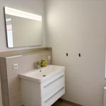 Sink with mirror cabinet and window