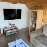 Living room with sofa, TV, and bookcase against wood wall.