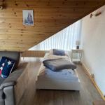Room with bed, sofa, and wooden ceiling. Window with curtains and white wall.