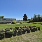 Green lawn with hedges and a pool. A building and trees in the background.
