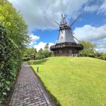 Holländischer Windmühle auf grünem Hügel mit gepflasterter Straße und Hecken