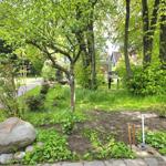 Garten mit Bäumen, Steinen und Pflanzen. Pflasterweg führt durch Grünflächen.