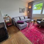 Wohnzimmer mit grauem Sofa, rotem Teppich und Glas-Tisch. Fenster mit Blick auf Grün.
