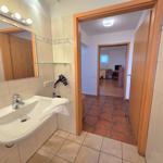 Bathroom with sink, mirror, and hairdryer. Corridor to bedroom.