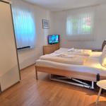 Bedroom with bed, TV, and wooden floor. Windows with white curtains.