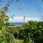 Meerblick