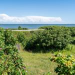 Landschaft
