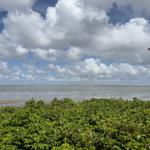 Wide view of the coast under a cloudy sky with green vegetation in the foreground.