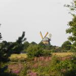Rote und weiße Laterne auf Dünen unter blauem Himmel