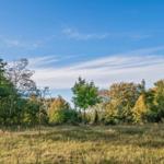 Gartenblick