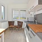 Küche mit Arbeitsplatte, Mikrowelle und zwei braune Stühle vor Fenster