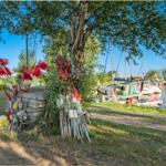 Bootshafen mit Segelyachten und roten Flaggen an einem Baum