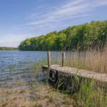 Holzsteg führt zum Wasser, umgeben von Gras und Bäumen unter blauem Himmel.