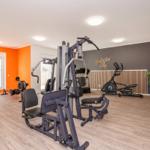 Fitness