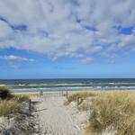 Sandy path leads through dunes to beach and sea under cloudy sky.