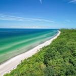 Beach with sandy shore and green coastline under blue sky.