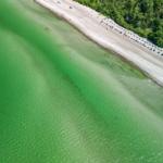 Aerial view of a beach with clear green water and sun loungers.
