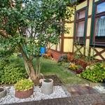 Hinterhof mit Garten, Baum und Blumenbeeten vor gelbem Fachwerkhaus.