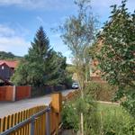 Haus mit Gartenzaun, Wald und rotem Dach unter blauem Himmel.