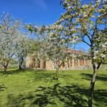 House with blooming trees on green lawn under blue sky.
