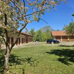 House with garden, flowering tree, and garage under blue sky.