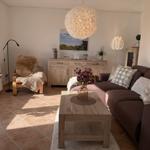 Wohnzimmer mit Sofa, Sessel, Holztisch und Decken