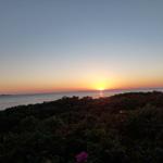 Sonnenuntergang über dem Meer mit rosa Rosen im Vordergrund