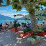 Terrace with trees, chairs, and view of the lake.