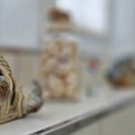 Dekoratives Detail
