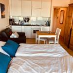 Schlafzimmer mit Bett, Sofa, Küchenbereich und Holzschrank