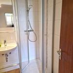Dusche mit Duschbrause, Waschbecken und Toilette im Badezimmer