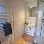 Badezimmer mit Dusche, Waschbecken und Heizkörper. Bodenfliesen und Spiegelschrank.