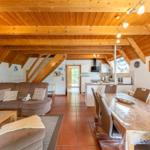 Living and dining area with wooden ceiling, sofa, dining table, and kitchen in the background.