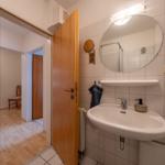 Badezimmer mit Waschbecken, Spiegel und Dusche. Tür führt in Wohnbereich.